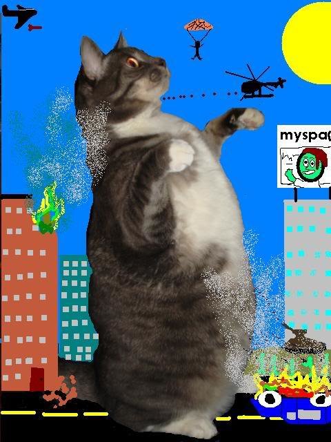 fatcatzilla_453c0b6ceb2003edfcdc7078f622a95b3b9841cc.jpg