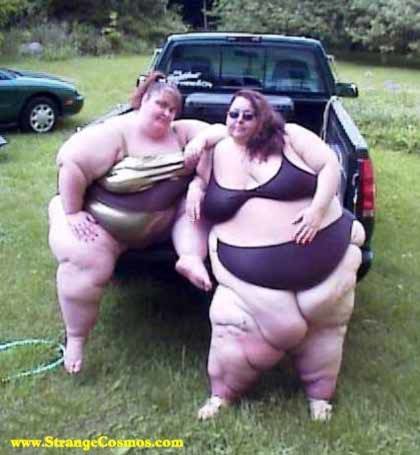FatChicks_e090eb9e73b006a39c0a8930126fef5b0ce8218e.jpg