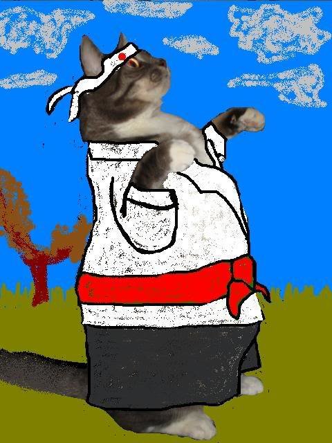 fatkaratekat_747cece0162e862ae648e8b19294e7574e857287.jpg