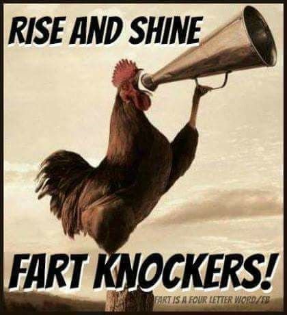fb4c77d18e44d40310391a16d08c34cb.jpg