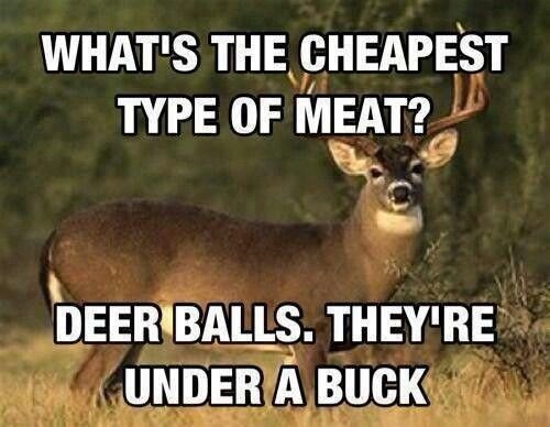 fb5e8b9e43d48c0a856844c570150c4d--hilarious-funny-shit.jpg