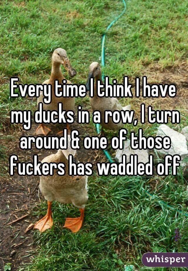 FB_IMG_1442058703408.jpg