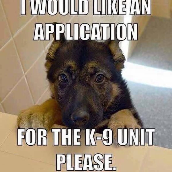 FB_IMG_1449937327229.jpg