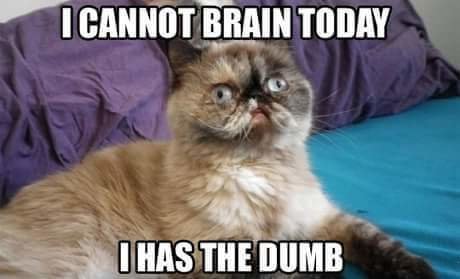 FB_IMG_1450552568917.jpg