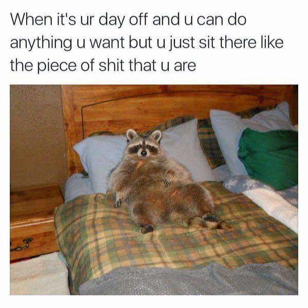 FB_IMG_1456757906925.jpg