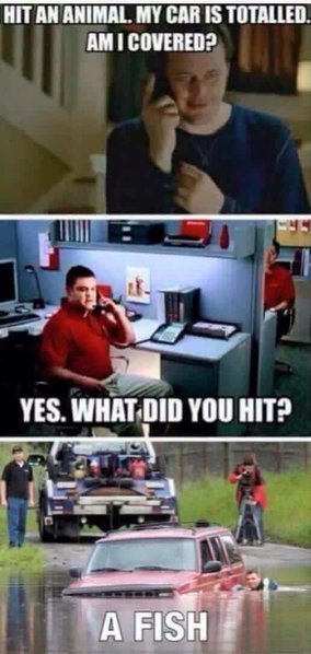 FB_IMG_1458490737967.jpg