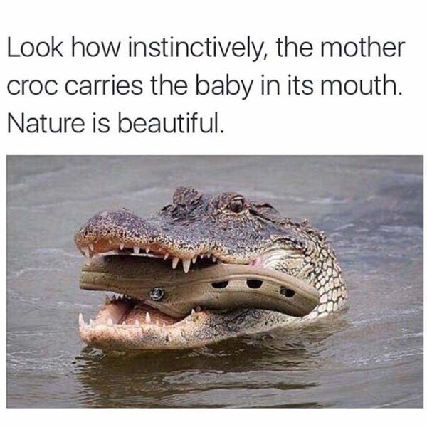 FB_IMG_1460343781645.jpg