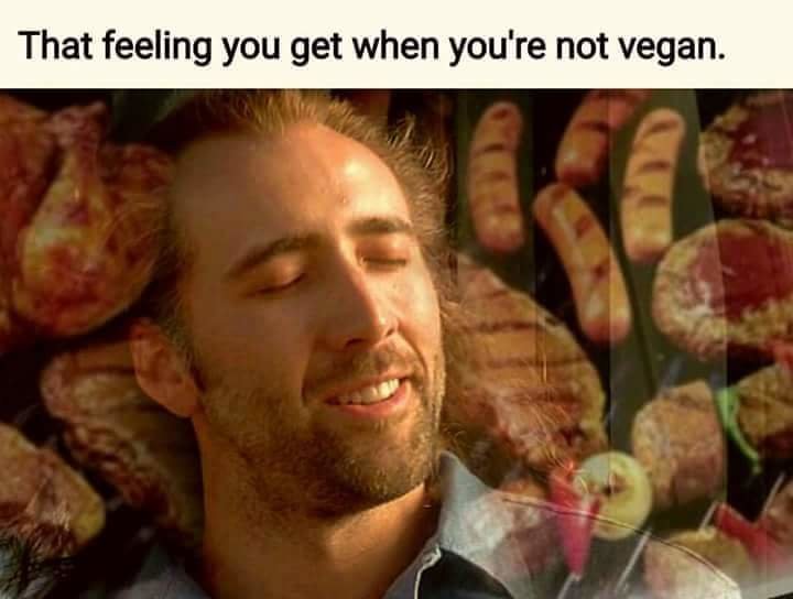 FB_IMG_1463141247588.jpg