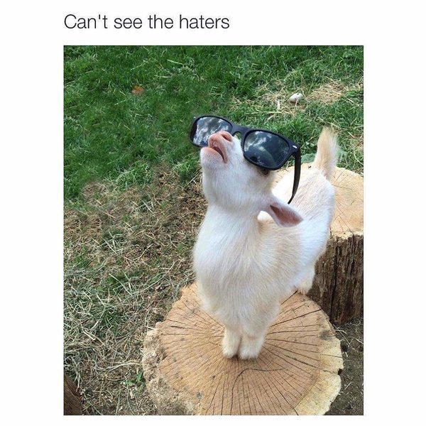 FB_IMG_1464284068310.jpg