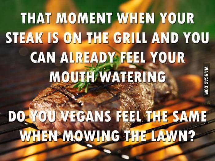 FB_IMG_1465678127886.jpg