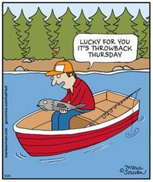 FB_IMG_1466105531114.jpg