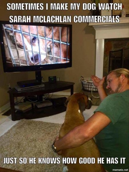 FB_IMG_1471395982597.jpg