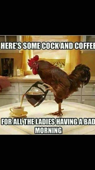 FB_IMG_1472397286250.jpg