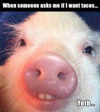 FB_IMG_1478185692628.jpg