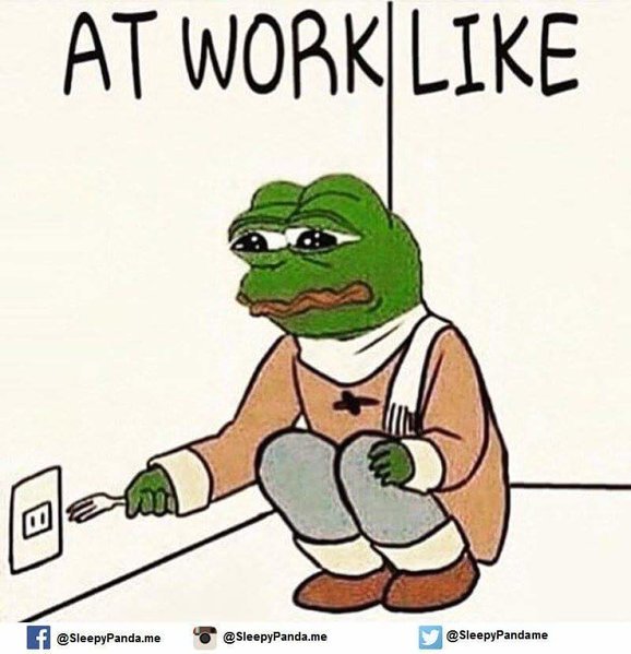 FB_IMG_1482455122398.jpg