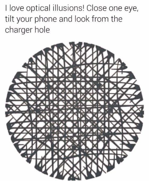 FB_IMG_1482653388362.jpg
