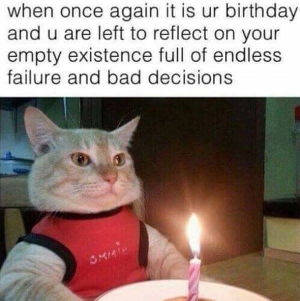 FB_IMG_1484676968440.jpg
