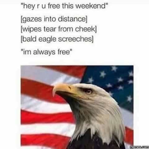 FB_IMG_1487632627161.jpg
