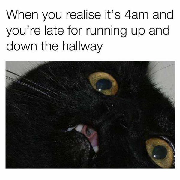 FB_IMG_1487862348148.jpg