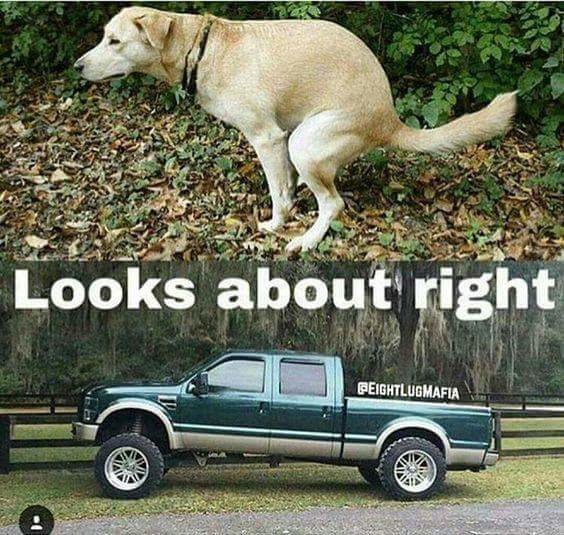 FB_IMG_1489535165136.jpg