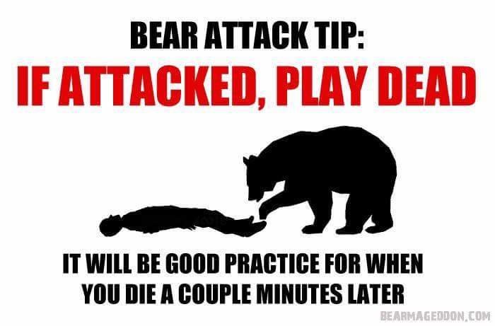 FB_IMG_1492877775093.jpg