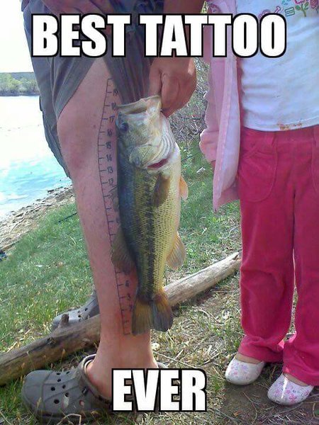 FB_IMG_1493180996680.jpg