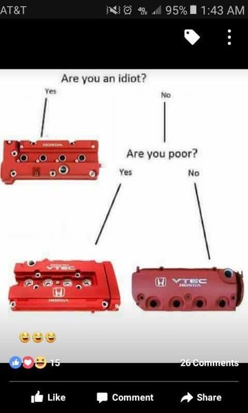 FB_IMG_1493338507962.jpg