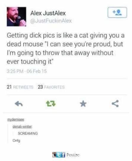 FB_IMG_1497396545600.jpg