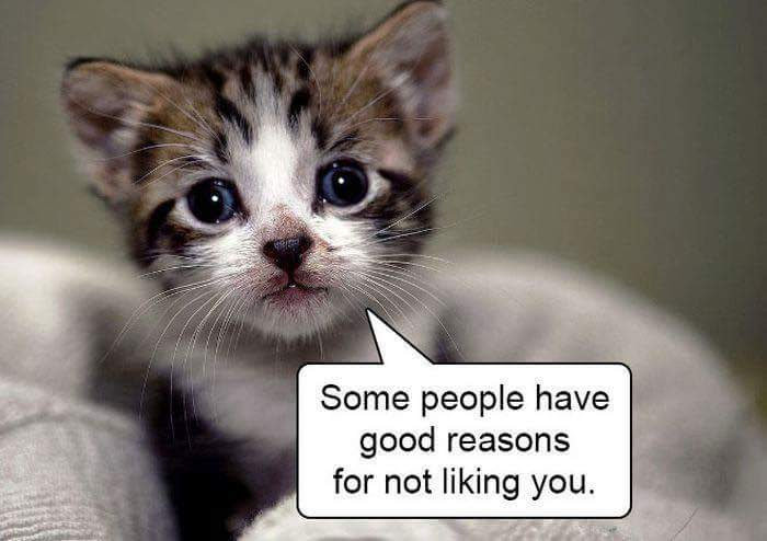 FB_IMG_1499474118612.jpg