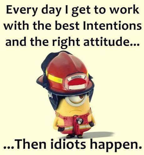 FB_IMG_1501216426617.jpg