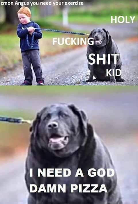 FB_IMG_1503235183271.jpg