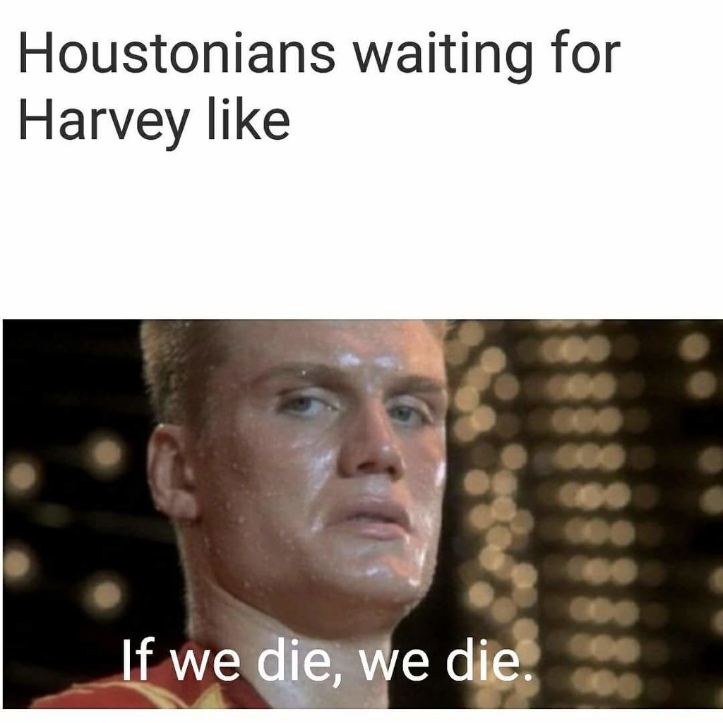 FB_IMG_1503624938607.jpg