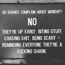 FB_IMG_1509670670631.jpg