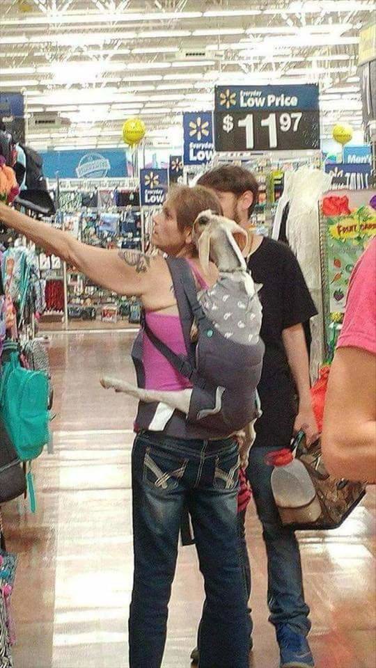 FB_IMG_1513733076131.jpg