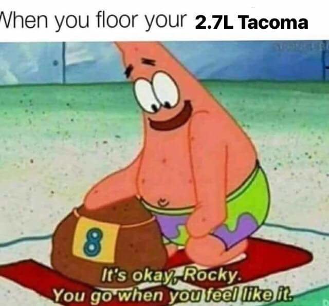 FB_IMG_1532954568408.jpg
