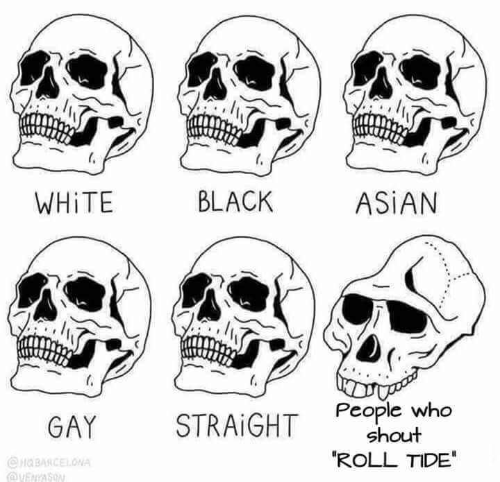 FB_IMG_1534262584506.jpg