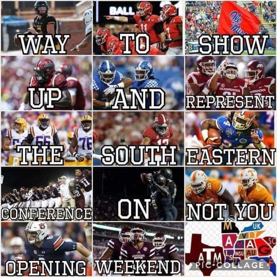 FB_IMG_1535997247656.jpg