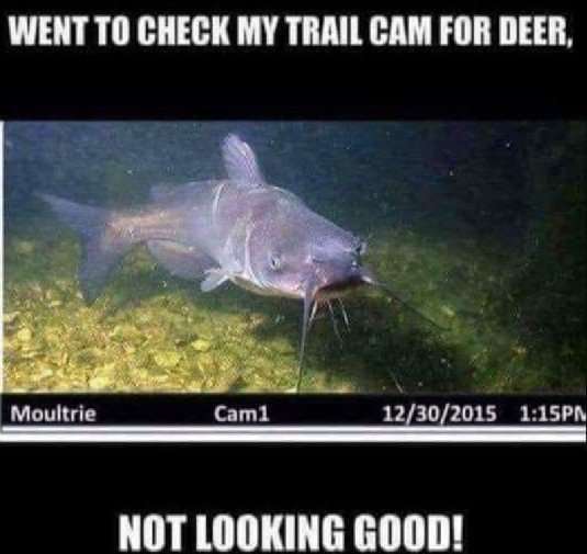 FB_IMG_1536971077107~2.jpg