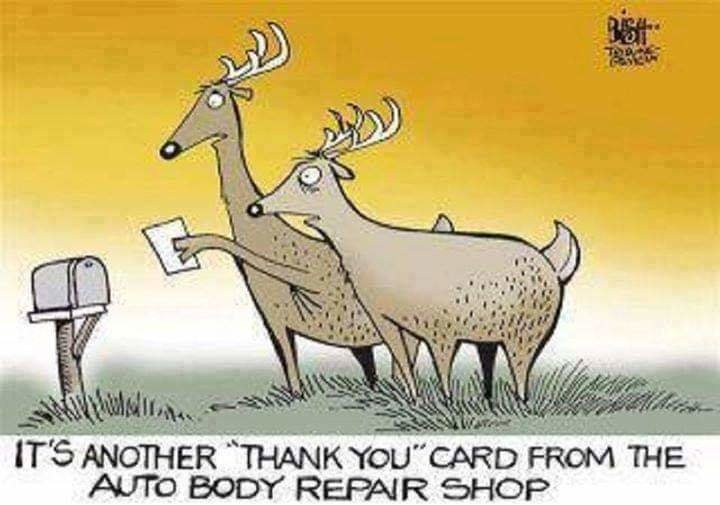 FB_IMG_1540857175738.jpg