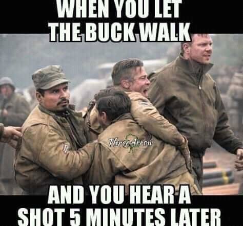 FB_IMG_1543348541444.jpg