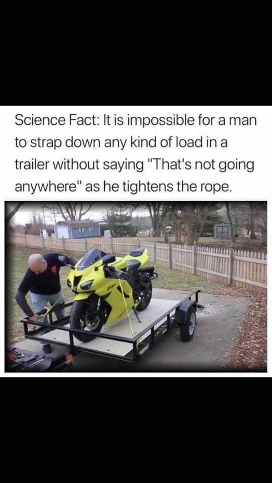 FB_IMG_1543958023300.jpg