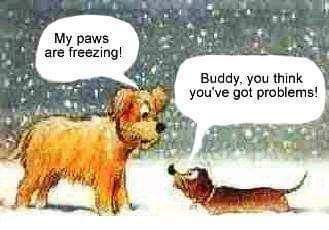 FB_IMG_1544530150303.jpg