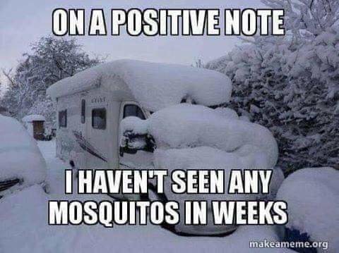 FB_IMG_1545312696042.jpg
