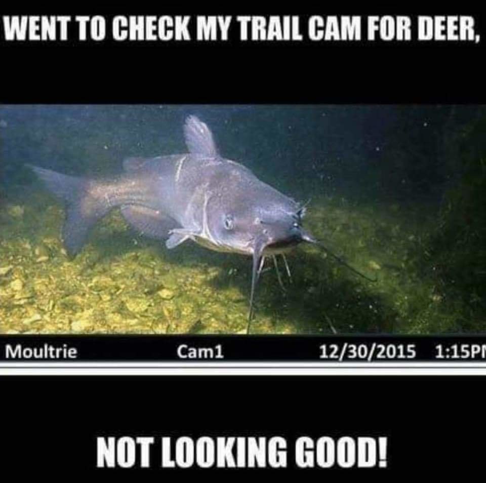 FB_IMG_1546566197925.jpg