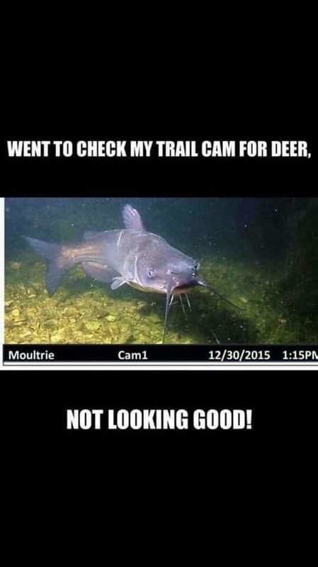 FB_IMG_1546703267959.jpg