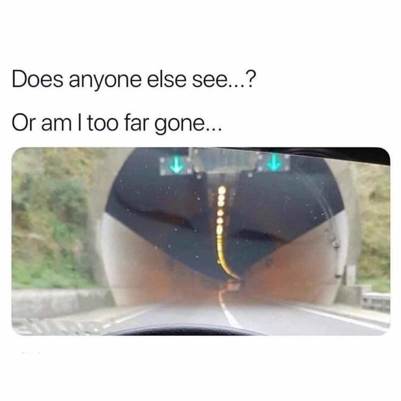 FB_IMG_1547074703233.jpg