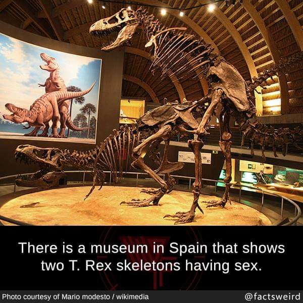 FB_IMG_1549511190368.jpg