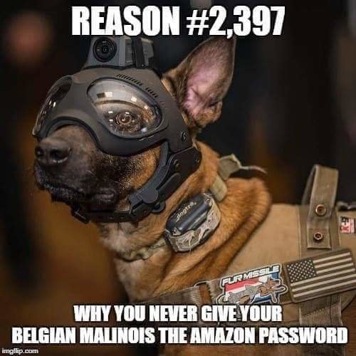 FB_IMG_1552850711650.jpg