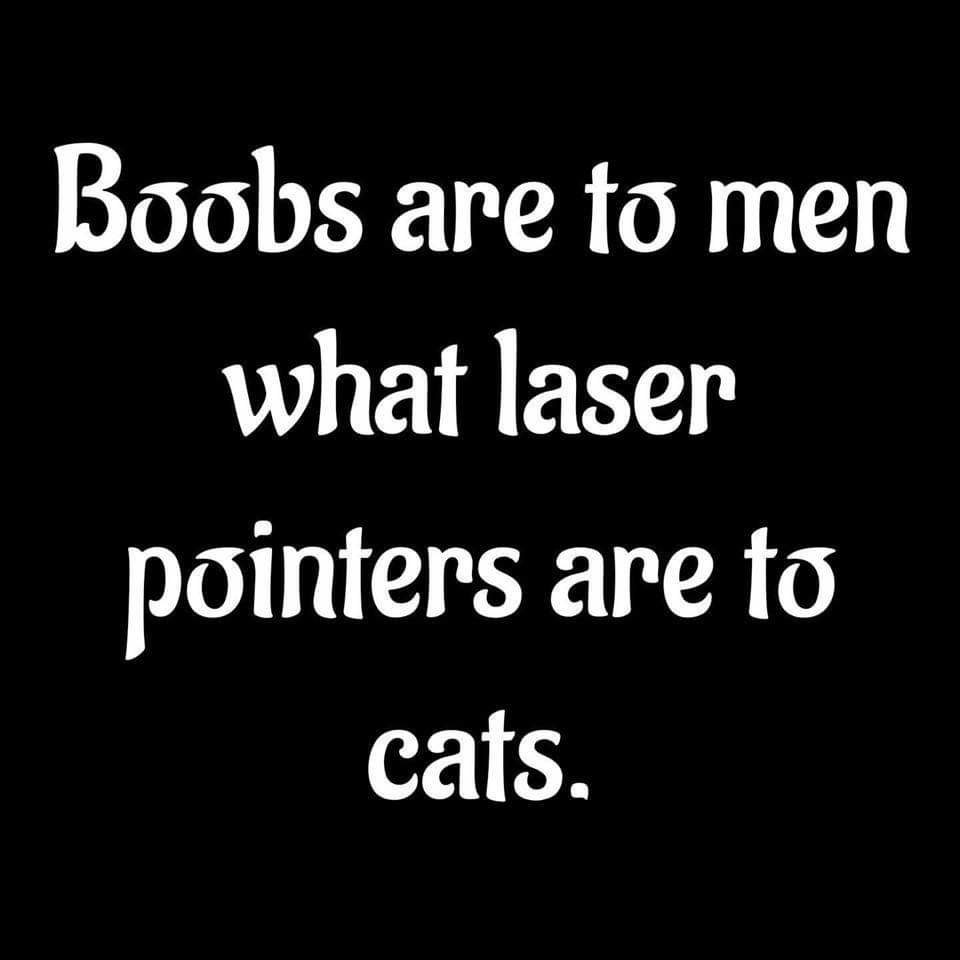 FB_IMG_1554741443331.jpg