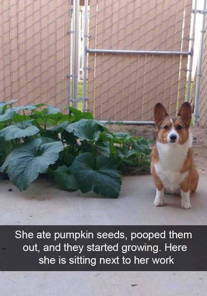 FB_IMG_1555638455166.jpg